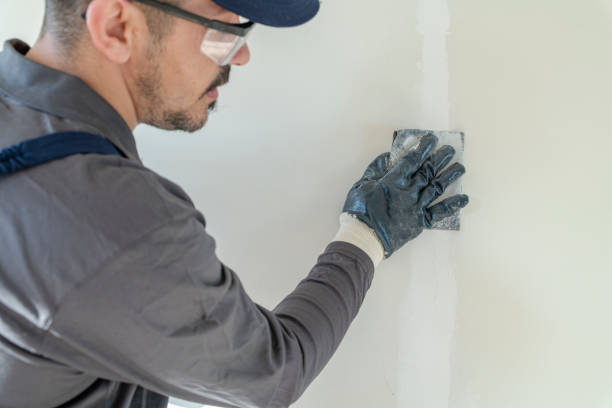 Best Basement Mold Removal  in Moreno Valley, CA