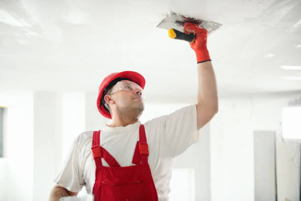 Best Mold Remediation for Healthcare Facilities  in Moreno Valley, CA